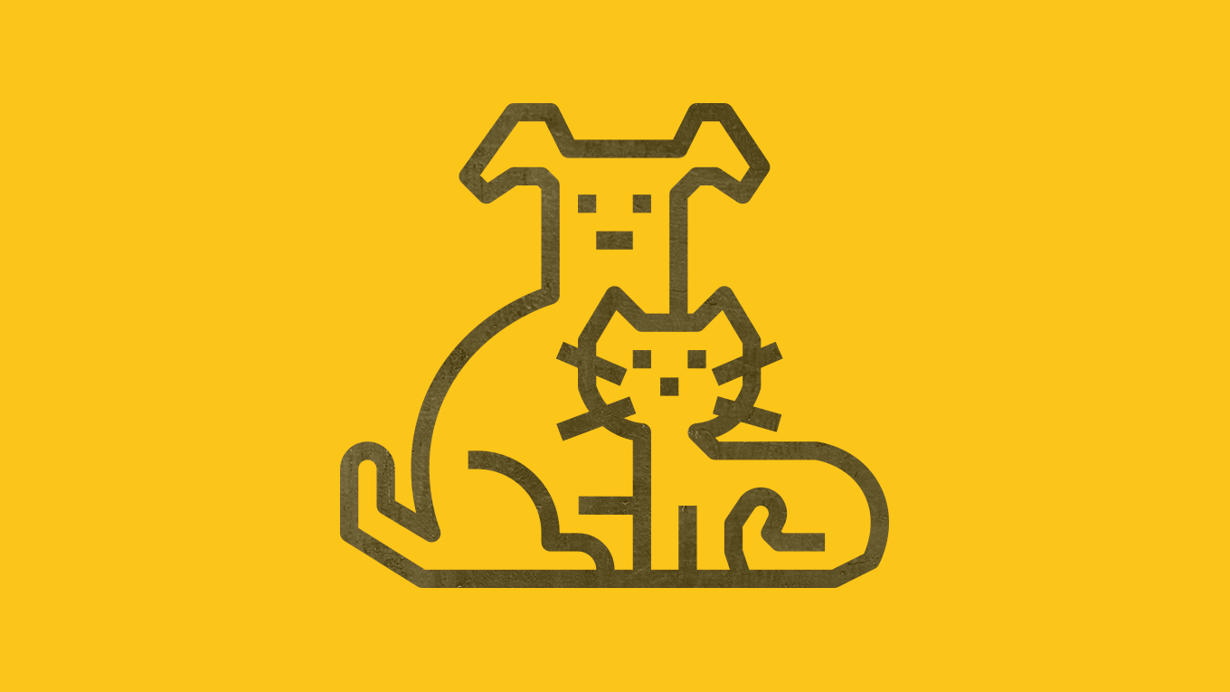 Після побиття мешканка Барської громади Леся Токова потребує допомоги